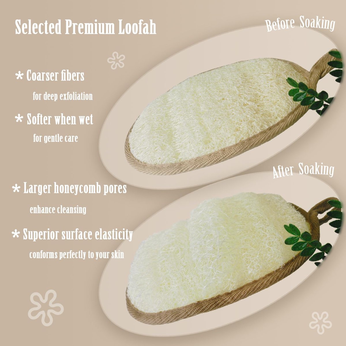 ReedChaCha Natural Shower Loofah for Women & Men, Biodegradable Egyptian Luffa, Plastic-Free Bath Sponge for Exfoliating Dead Skin, Lightly Abrasive Body Scrubber, 2 Pack - görsel 5
