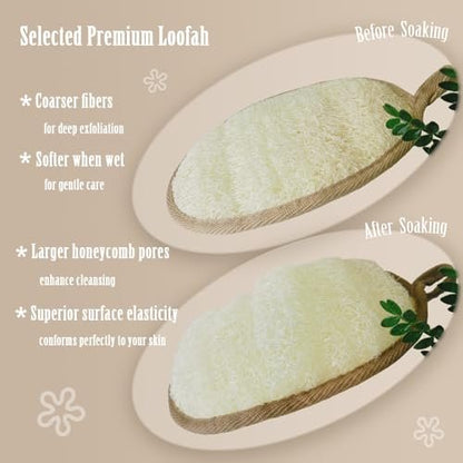 ReedChaCha Natural Shower Loofah for Women & Men, Biodegradable Egyptian Luffa, Plastic-Free Bath Sponge for Exfoliating Dead Skin, Lightly Abrasive Body Scrubber, 2 Pack