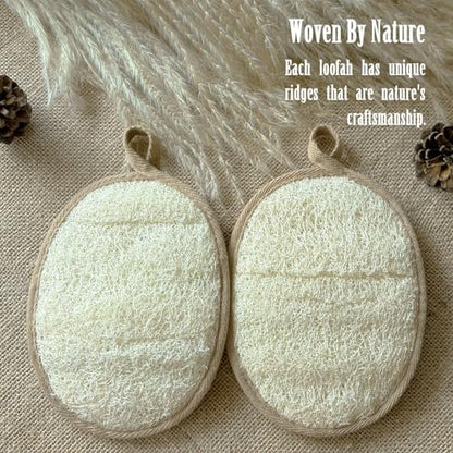 ReedChaCha Natural Shower Loofah for Women & Men, Biodegradable Egyptian Luffa, Plastic-Free Bath Sponge for Exfoliating Dead Skin, Lightly Abrasive Body Scrubber, 2 Pack