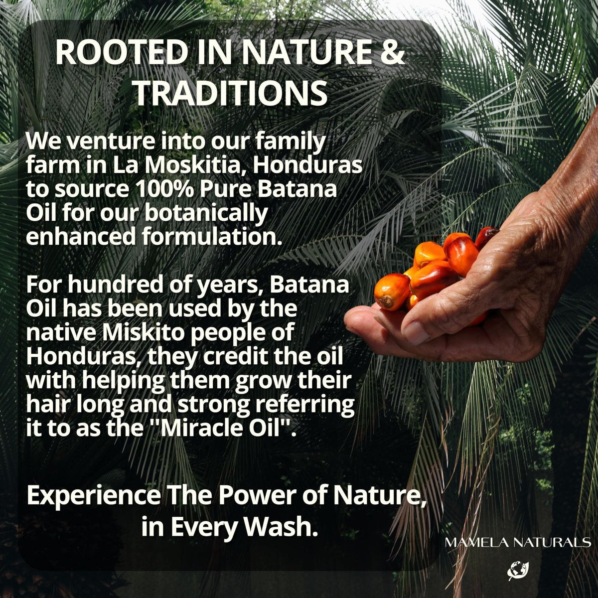 Batana Oil for Hair Growth Shampoo with Rosemary – Sulfate & Paraben Free, Nourishing Shampoo for Thinning Hair – 8 fl oz, All Hair Types - görsel 11
