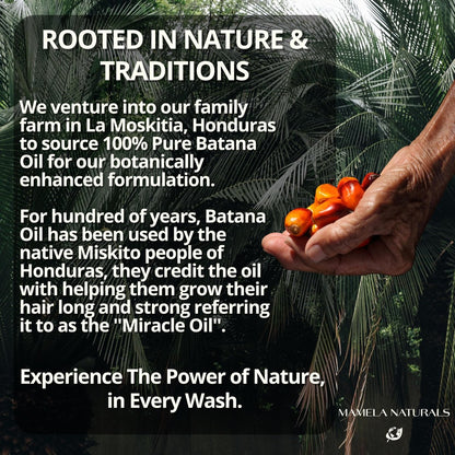 Batana Oil for Hair Growth Shampoo with Rosemary – Sulfate & Paraben Free, Nourishing Shampoo for Thinning Hair – 8 fl oz, All Hair Types