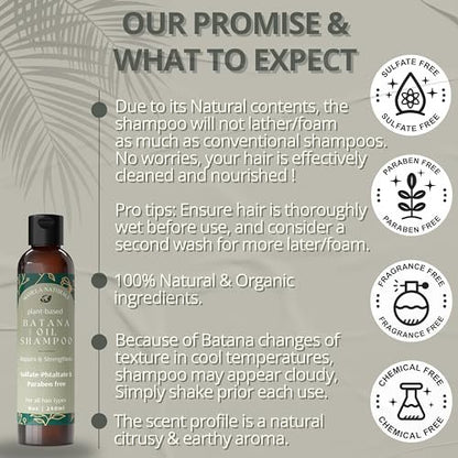 Batana Oil for Hair Growth Shampoo with Rosemary – Sulfate & Paraben Free, Nourishing Shampoo for Thinning Hair – 8 fl oz, All Hair Types