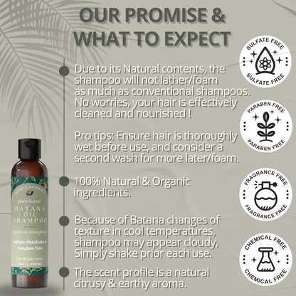 Batana Oil for Hair Growth Shampoo with Rosemary – Sulfate & Paraben Free, Nourishing Shampoo for Thinning Hair – 8 fl oz, All Hair Types