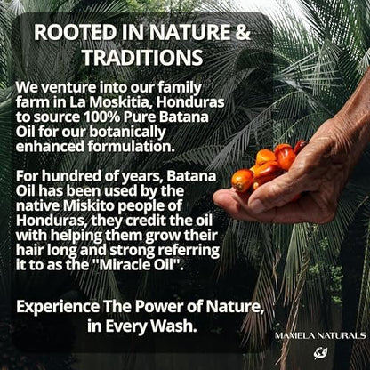 Batana Oil for Hair Growth Shampoo with Rosemary – Sulfate & Paraben Free, Nourishing Shampoo for Thinning Hair – 8 fl oz, All Hair Types