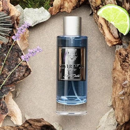 Diane Castel Silver Wolf - Woody Citrus Cologne for Men - Top Notes of Elemi, Bergamot, Mandarin - 3.3 oz