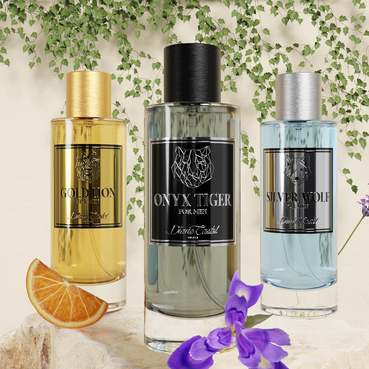 Diane Castel Silver Wolf - Woody Citrus Cologne for Men - Top Notes of Elemi, Bergamot, Mandarin - 3.3 oz - görsel 5
