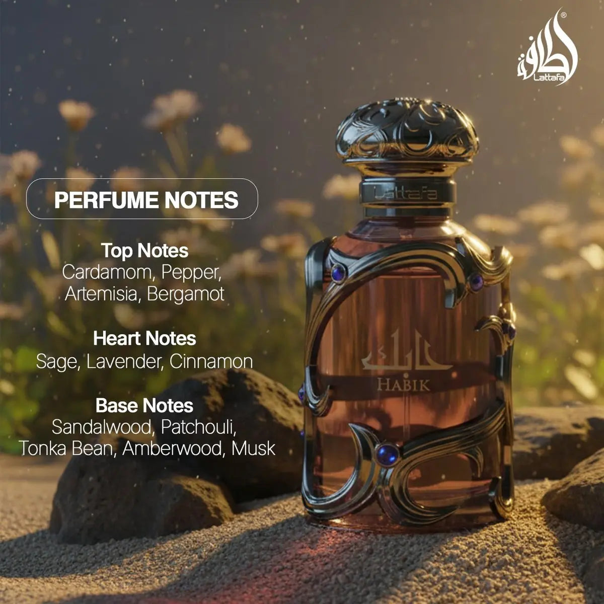 Lattafa Habik Eau de Parfum for Men – Spicy, Aromatic, Woody, Musky Long-Lasting Fragrance (3.4 oz / 100 ml) Avelisse