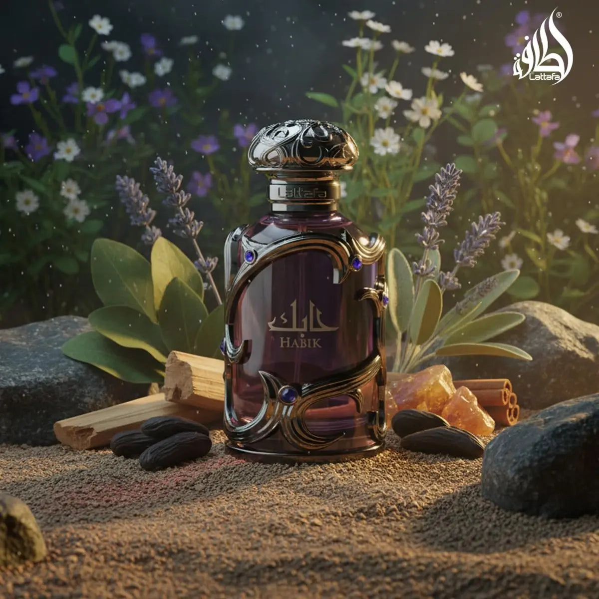 Lattafa Habik Eau de Parfum for Men – Spicy, Aromatic, Woody, Musky Long-Lasting Fragrance (3.4 oz / 100 ml) Avelisse