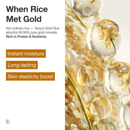 reii reii Gold Rice Energy Cream – Heritage Golden Rice Formula for Deep Hydration & Radiant Glow | Vegan Moisturizer with Peptide & Hyaluronic Acid, Korea Skincare (1.69 fl.oz / 50ml) Avelisse