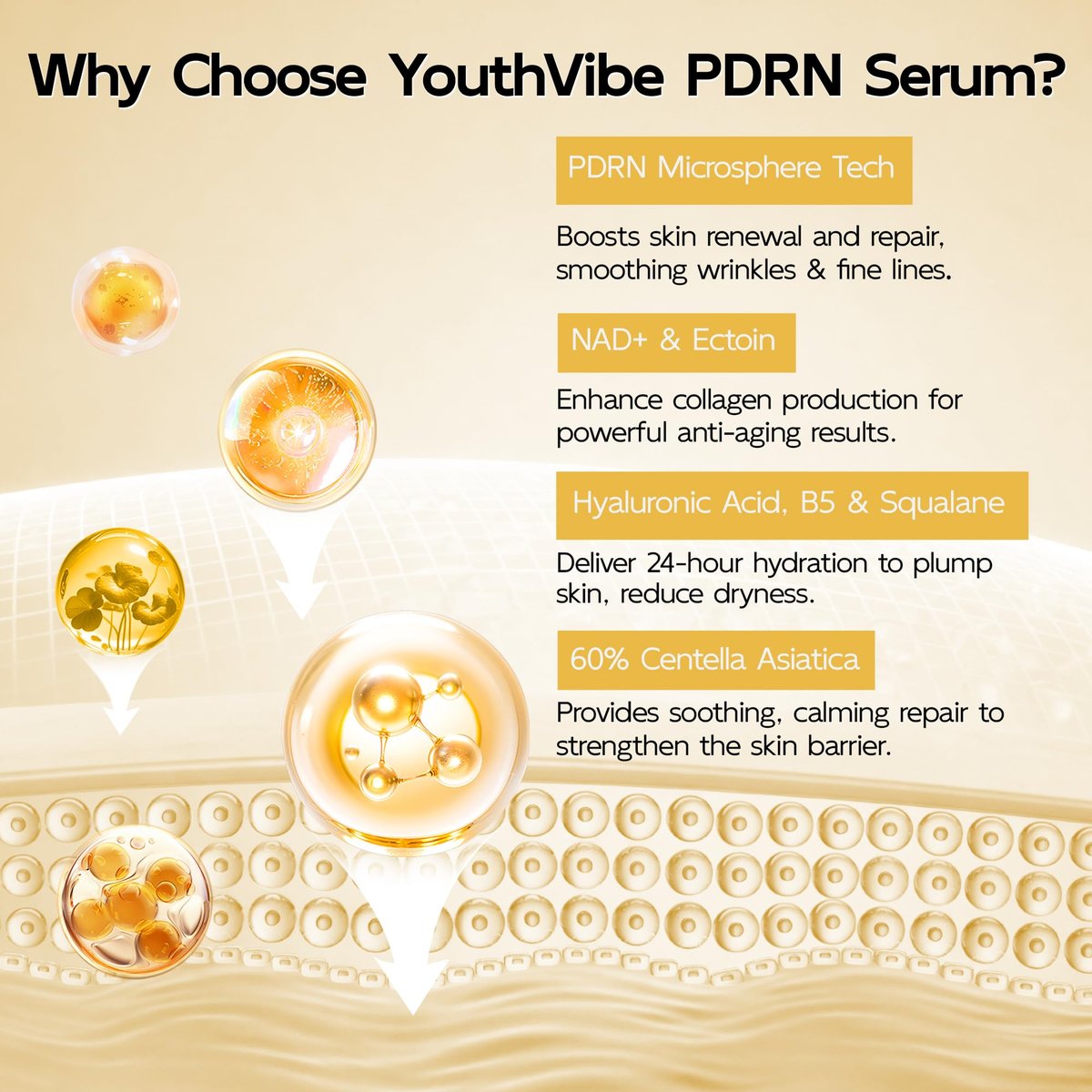 YouthVibe 0.5% PDRN Serum for Face – Anti-Aging Salmon DNA Serum with Hyaluronic Acid, Niacinamide & Squalane, Firming & Hydrating, Helps Smooth Fine Lines & Wrinkles, 30mL Avelisse