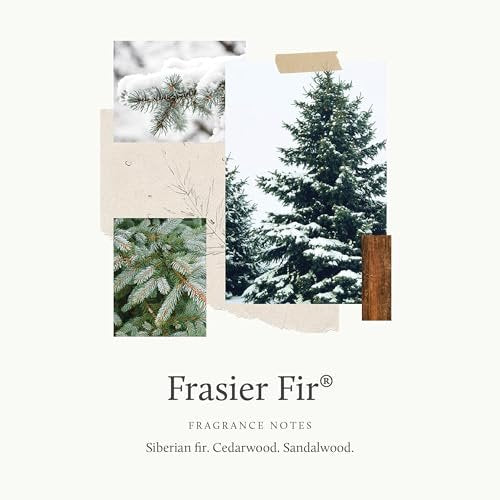 Thymes Frasier Fir Hand Wash Refill - Lightly Scented Liquid Hand Soap, Moisturizing Formula with Natural Ingredients, 24.5 fl oz Avelisse