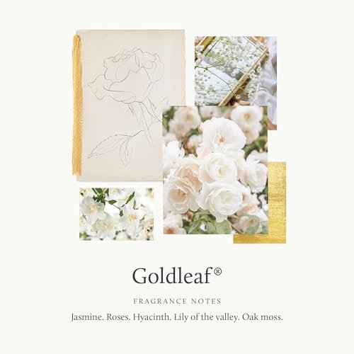 Thymes Goldleaf Perfumed Body Crème - Moisturizing Body Cream with Shea Butter, Vitamin E, Jojoba Oil, and Honey for Skin Care Routine - Body and Hand Lotion for Women & Men (9.25 fl oz) Avelisse