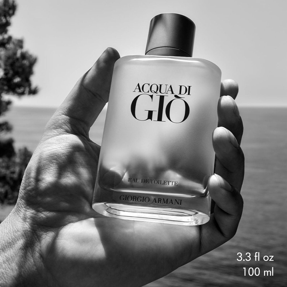 Armani Beauty Acqua di Giò Eau de Toilette Set for Men – Full Size 1.7 Fl Oz & Travel Size 0.5 Fl Oz Avelisse