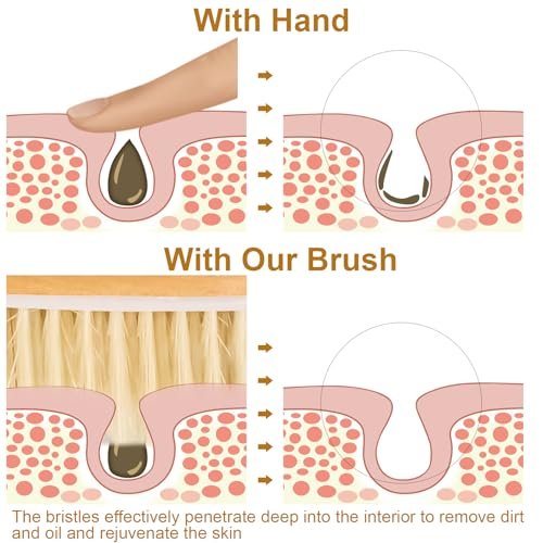 16.5 Inches Back Scrubber for Shower with Curved Long Handle – Wet & Dry Brushing Body Brush, Natural Bristles, Bath Tool for Men & Women - görsel 10