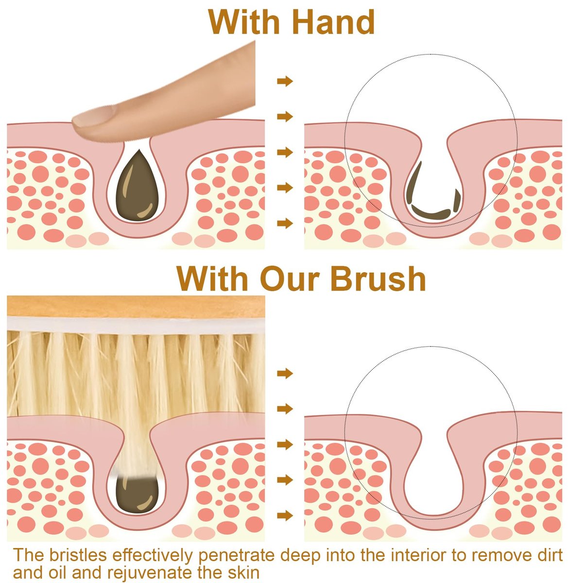 16.5 Inches Back Scrubber for Shower with Curved Long Handle – Wet & Dry Brushing Body Brush, Natural Bristles, Bath Tool for Men & Women - görsel 9