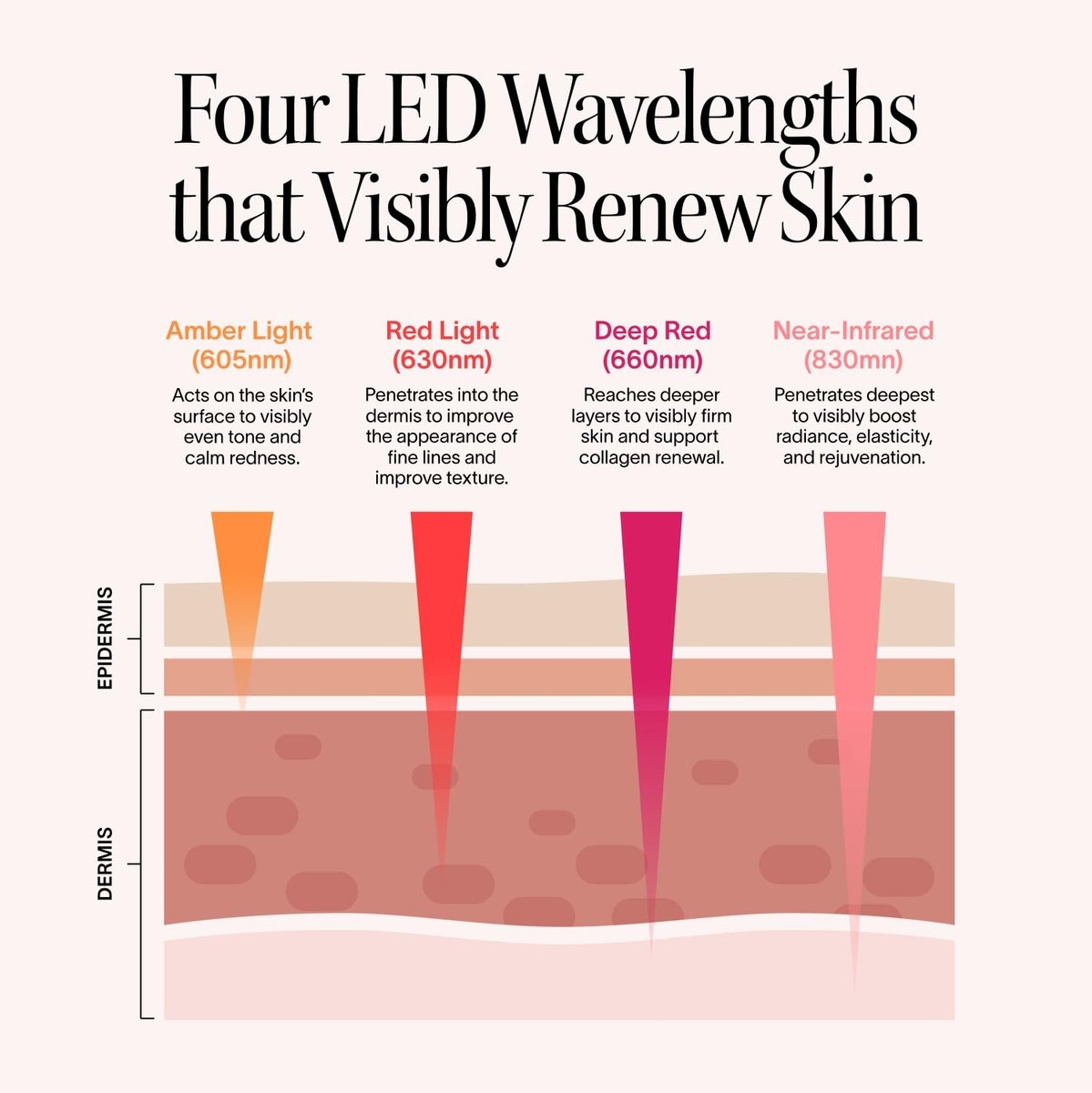 Solawave LED Light Therapy Face Mask – Red, Deep Red, Near Infrared & Amber Lights – Hands-Free Anti-Aging Skincare Mask Avelisse