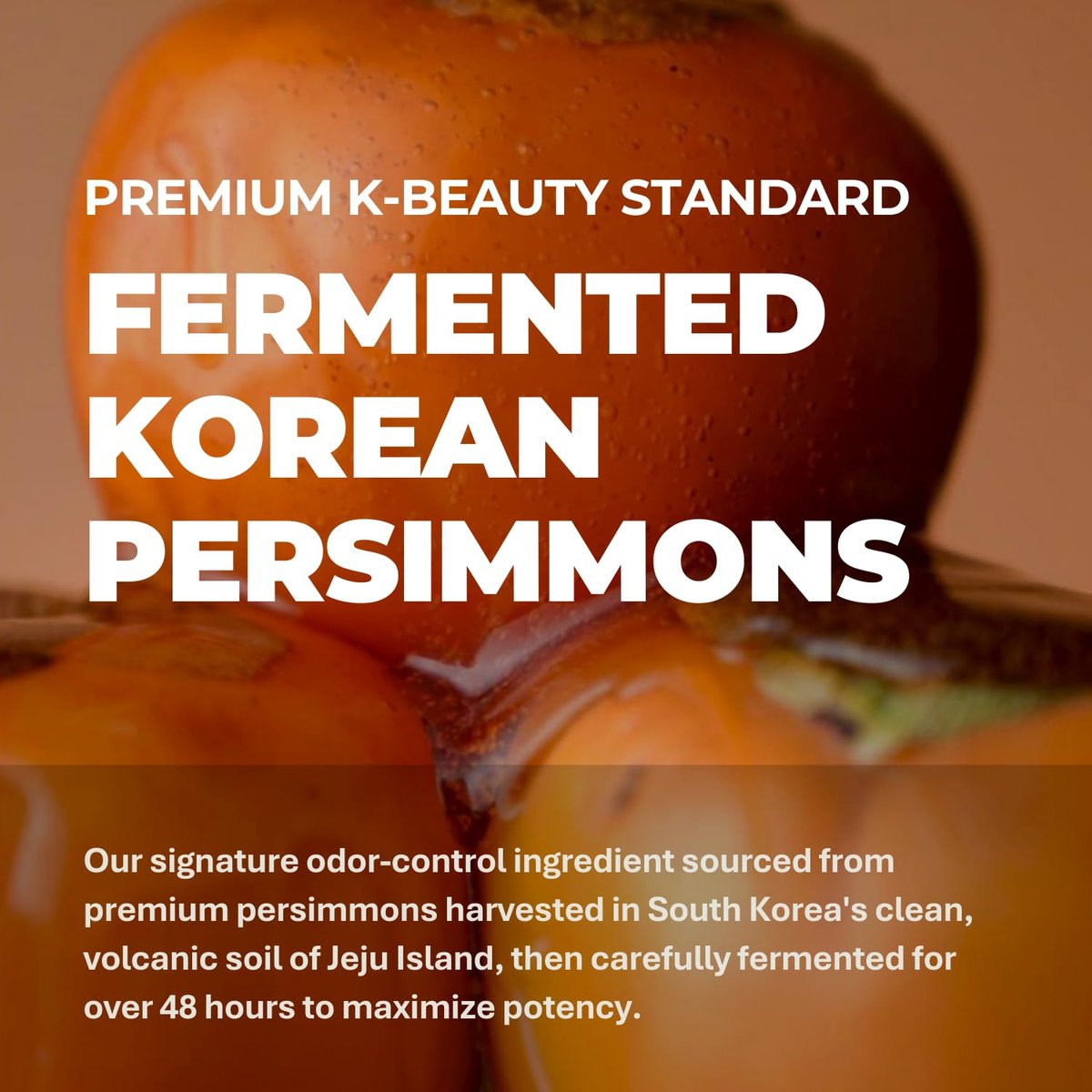 Rememberin Korean Persimmon Shampoo for Scalp Odor & Smelly Scalp – Korean Persimmon Extract, Anti-Dandruff Deep Cleansing with Salicylic Acid & Biotin, Remove Oil & Buildup (17.6 oz / 500g) Avelisse