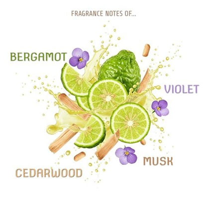 Sand + Fog Violet Sandalwood Eau de Parfum Oil 1.7 oz - Luxury Fragrance Avelisse