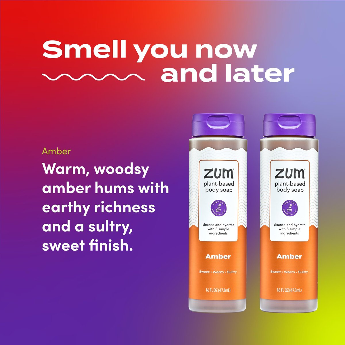 Zum Body Soap - Amber - 16 fl oz (2 Pack) - All-Natural Hand & Body Wash Avelisse
