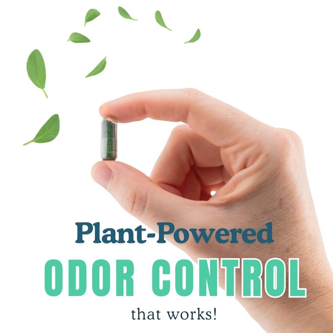 DeoCaps Whole Body Deodorizing Supplement - 100% Natural Internal Deodorant, Sweat Relief - Body Odor Pills Reduce Odor in Underarms, Intimate Areas & Feet - 60 Chlorophyll Capsules for Gut Health Avelisse