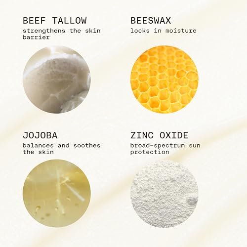 Jay Alvarrez Beef Tallow Sunscreen SPF 50 – Grass-Fed Tallow & Zinc Oxide Mineral Sunscreen, No White Cast, Water Resistant Face & Body Sunblock | 3 oz Avelisse