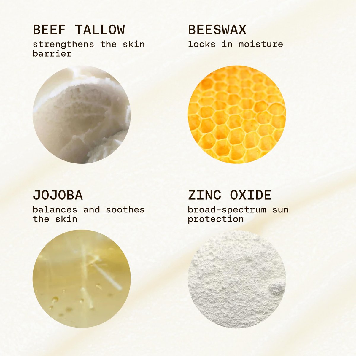 Jay Alvarrez Beef Tallow Sunscreen SPF 50 – Grass-Fed Tallow & Zinc Oxide Mineral Sunscreen, No White Cast, Water Resistant Face & Body Sunblock | 3 oz Avelisse