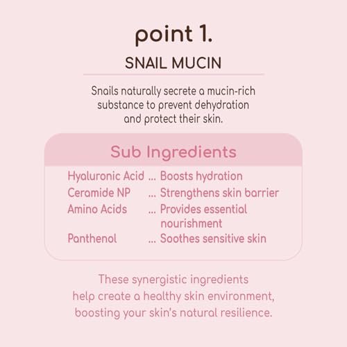 DEARBOO Glass Skin Snail Toner – Hydrating Facial Toner with Snail Mucin for Radiant-Looking Complexion, 8.45 fl oz Avelisse