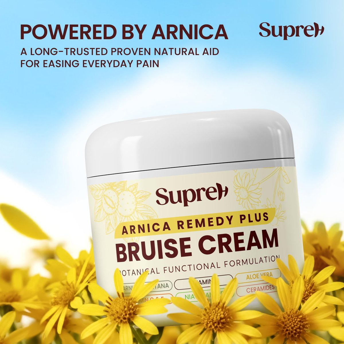 SupreH Arnica Bruise Cream Extra Strength with Vitamin K, C, E, Niacinamide & Ceramide for Bruising, Swelling, Discoloration & Thin Skin - 1 oz Avelisse