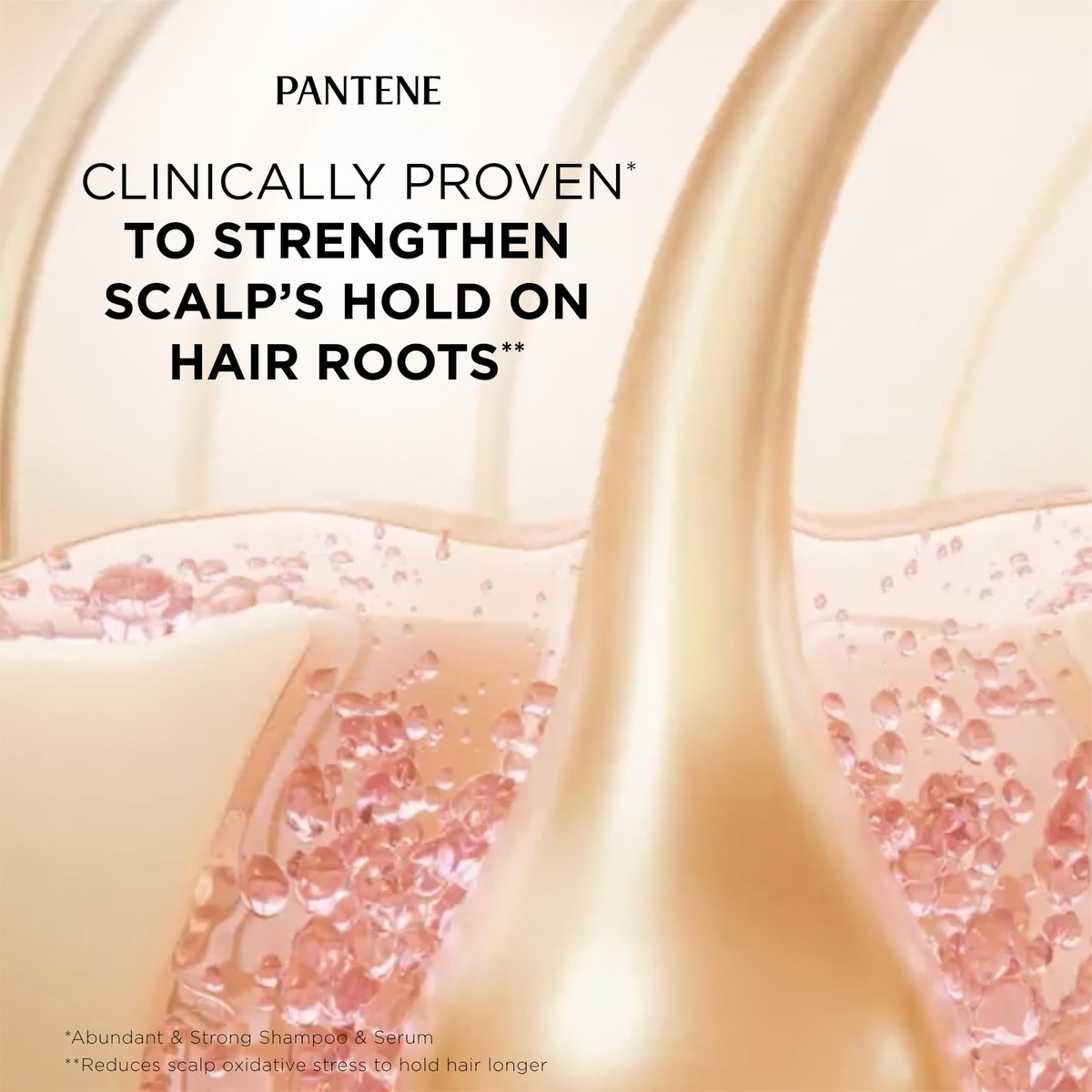 Pantene Abundant & Strong Shampoo - Strengthens Scalp's Hold on Hair Roots, 13.5 oz Avelisse