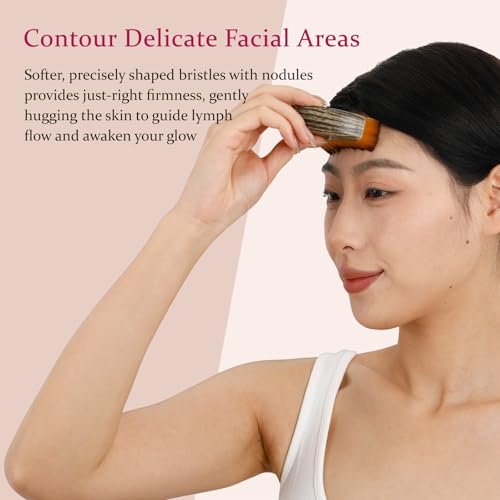 Hoyecl No Oil Lymphatic Face Sculpting Brush – Soft Facial Brush for Lymphatic Drainage, Reduce Morning Puffiness, Sculpt Contour & Glow Skin Naturally for Sensitive/Thin Skin Avelisse