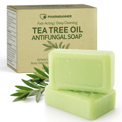 PHARMBANNER Tea Tree Antifungal Soap Bar – 2-Pack, 4.1 oz Each – Body Wash for Acne, Folliculitis, Jock Itch, Ringworm, Athlete’s Foot, Body Odor & Eczema Avelisse