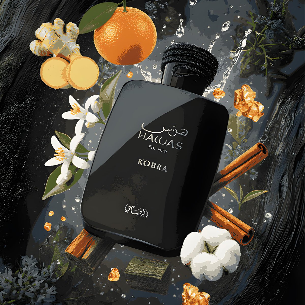 Hawas Kobra by Rasasi - Eau de Parfum, 3.38 Fl Oz Avelisse