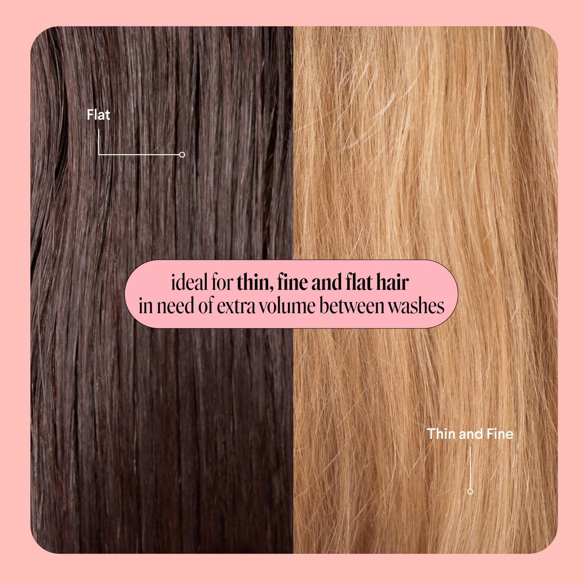 MONDAY HAIRCARE Volume Dry Shampoo with Collagen, Oil-Absorbing for Thin & Fine Hair, 50ml (3 Pack) Avelisse