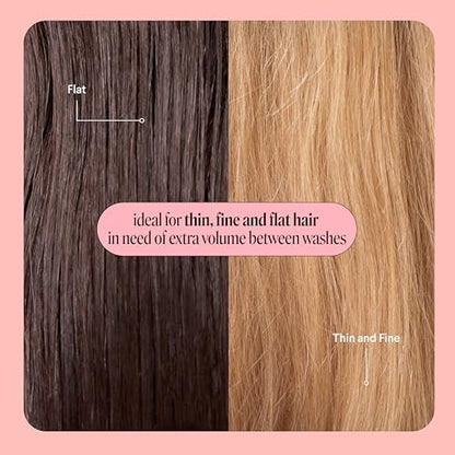 MONDAY HAIRCARE Volume Dry Shampoo with Collagen, Oil-Absorbing for Thin & Fine Hair, 50ml (3 Pack) Avelisse