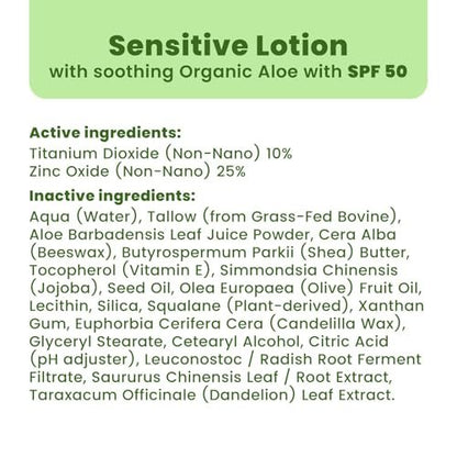 Organic Grass-Fed Tallow Mineral Sunscreen SPF 50 — No White Cast, Non-Nano Zinc Oxide, Reef Safe UVA/UVB, Water Resistant 80 Min, Moisturizing & Soothing with Aloe Vera, Face & Body, 3.4 oz
