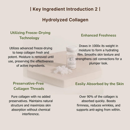 Stem-Cell Exosome Skin Booster Kit – PDRN, Peptide & Collagen Ampoule for Rejuvenation, Hydration & Anti-Aging | Korean Skincare 30ml (5 Vials + 1 Ampoule) Avelisse