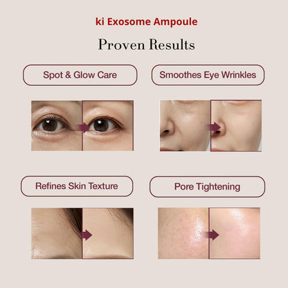 Stem-Cell Exosome Skin Booster Kit – PDRN, Peptide & Collagen Ampoule for Rejuvenation, Hydration & Anti-Aging | Korean Skincare 30ml (5 Vials + 1 Ampoule) Avelisse