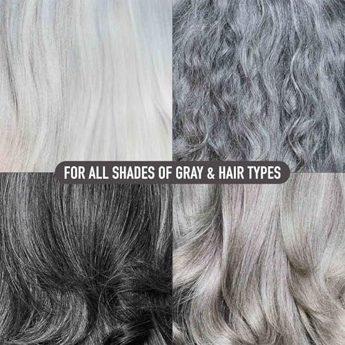 Silverist Smooth Harmony Shine Infusing Conditioner for Gray, Silver & White Hair – Silicone-Free with Hyaluronic Acid & Rice Protein, Frizz Control & Hydration, 9.29 oz Avelisse