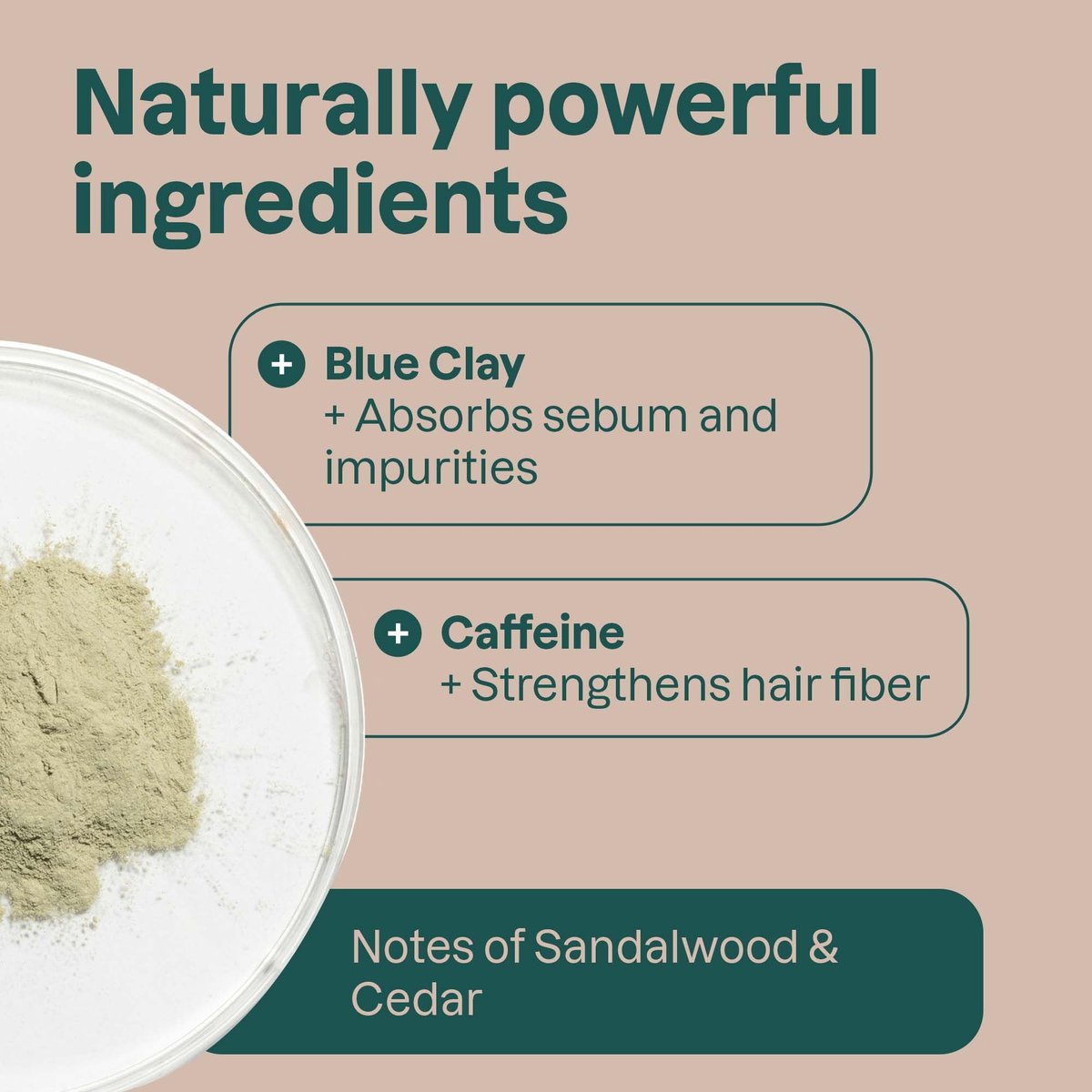 ATTITUDE Strengthening Shampoo Bar - Natural Origin, Blue Clay & Caffeine for Hair Repair & Breakage, EWG Verified, Vegan, Sandalwood & Cedar Scent, 4 Oz Avelisse