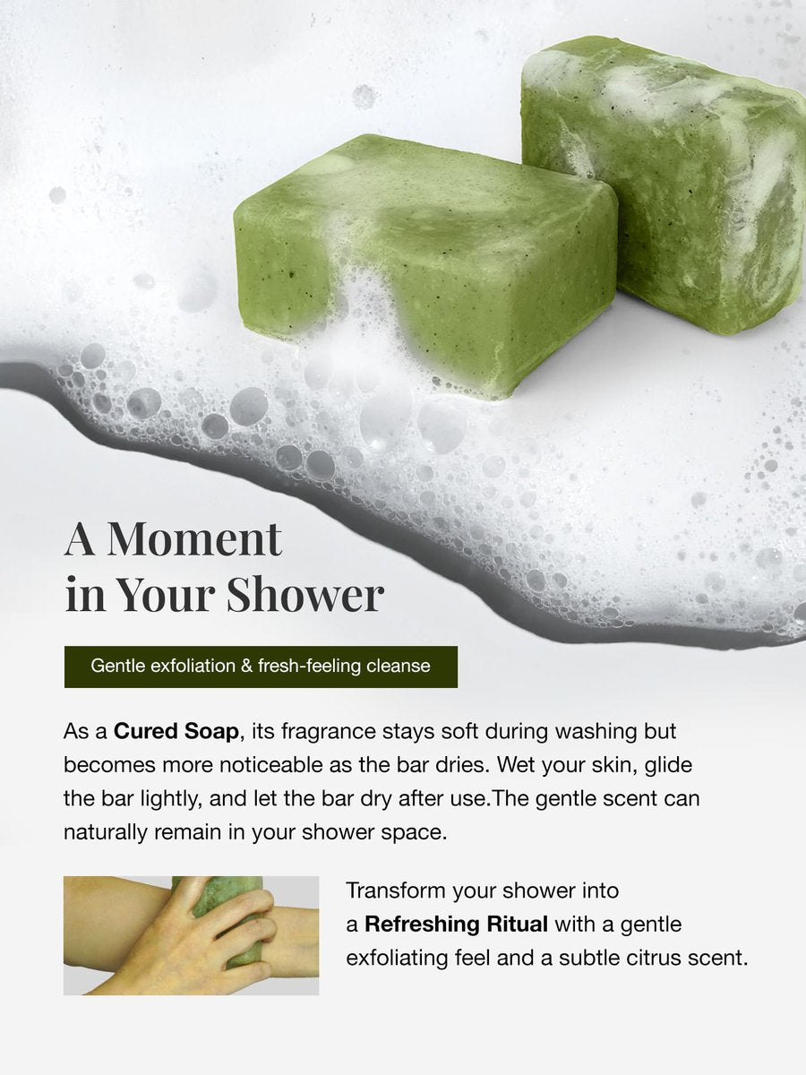 Marodi Body Scrub Bar Soap - Korean Exfoliating Body Wash Bar with Green Tea & Centella Extract, 7 Oz (200g), Subtle Fruity Citrus Scent, Deep Cleaning, Moisturizing & Refreshing, Sunrise Mist - görsel 13