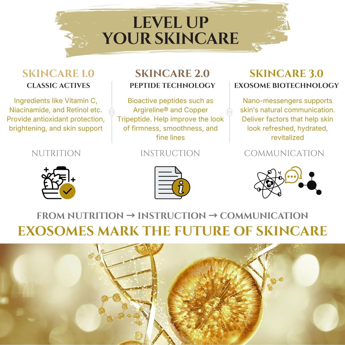 Exosomes for Skin Serum – Anti-Aging Multi Peptide Serum for Face Pores, Fine Lines & Microneedling – 2% Exosomes, GHK-Cu Copper Peptides, Argireline, EGF & Hyaluronic Acid Avelisse