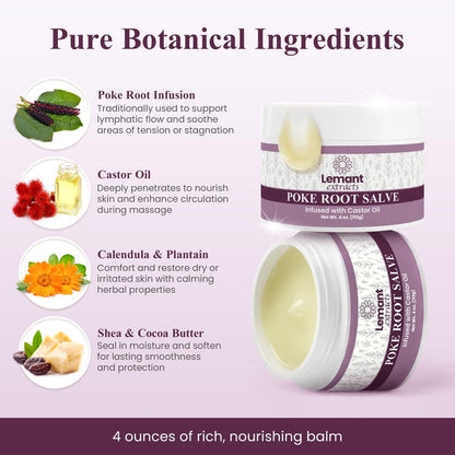 Lemant Organic Poke Root and Castor Oil Salve - 4 oz Herbal Salve with Calendula, Plantain, Red Clover, Boswellia, Shea Butter & Lavender Avelisse