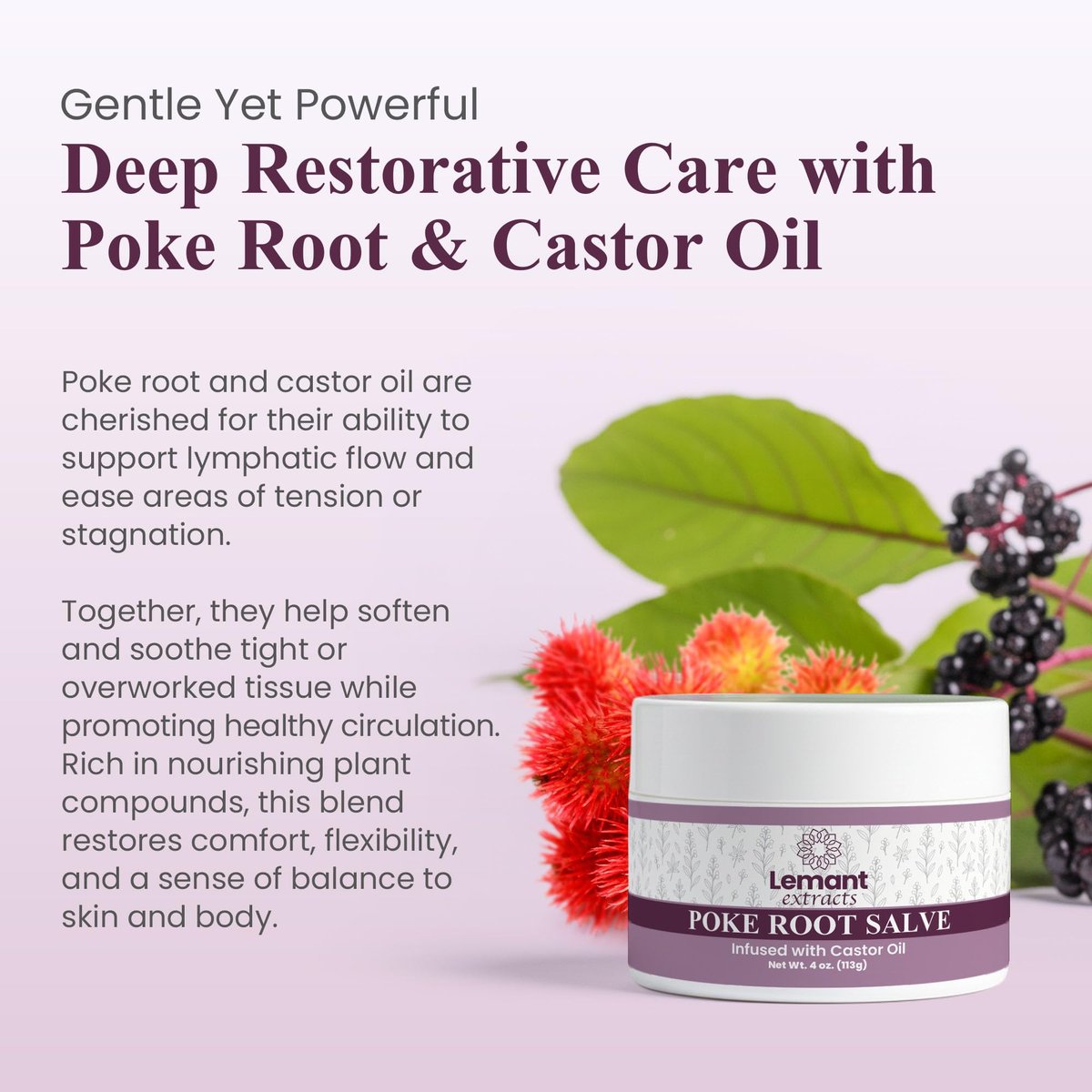 Lemant Organic Poke Root and Castor Oil Salve - 4 oz Herbal Salve with Calendula, Plantain, Red Clover, Boswellia, Shea Butter & Lavender Avelisse