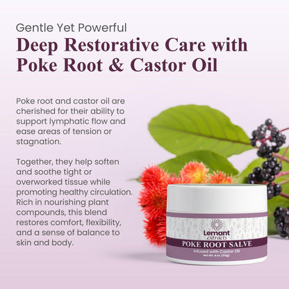 Lemant Organic Poke Root and Castor Oil Salve - 4 oz Herbal Salve with Calendula, Plantain, Red Clover, Boswellia, Shea Butter & Lavender Avelisse