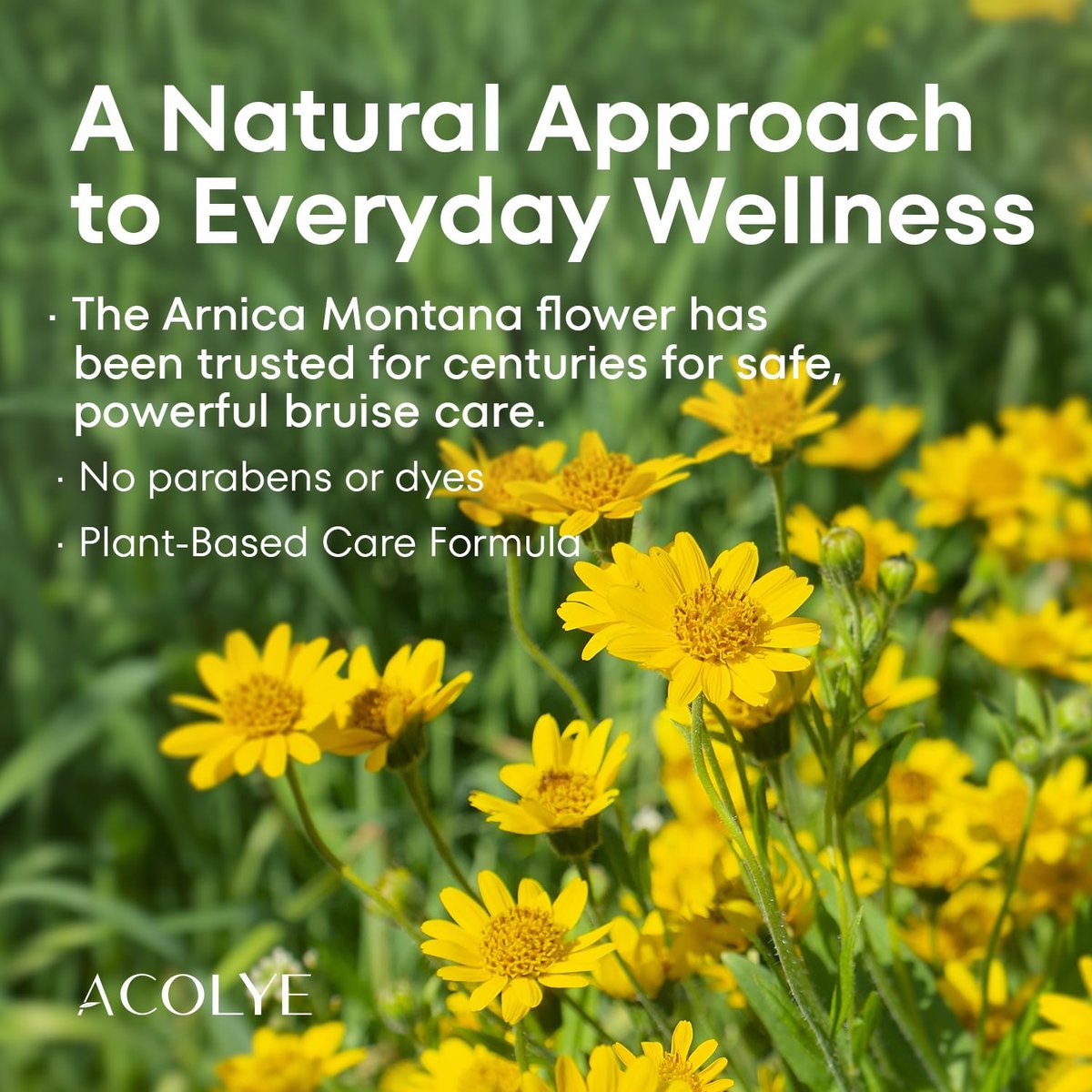 Acolye Arnica Cream for Bruising and Swelling – Extra Strength with Vitamins K, C, E for Seniors 55+ (3.5 oz) Avelisse