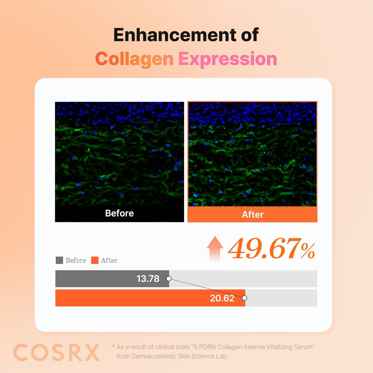 COSRX 5 PDRN Collagen Intense Vitalizing Serum – Firming & Glowing Korean Serum with Salmon DNA, Centella & Lactobacillus PDRN (3.38 fl.oz.) Avelisse