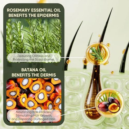 Batana Oil & Rosemary Shampoo for Hair Growth – Reduces Hair Loss, Restores Vitality, Stimulates Regrowth for Men & Women (10.58 fl oz)
