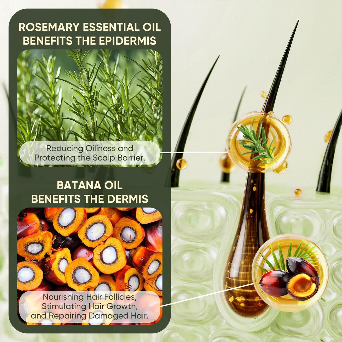 Batana Oil & Rosemary Shampoo for Hair Growth – Reduces Hair Loss, Restores Vitality, Stimulates Regrowth for Men & Women (10.58 fl oz) - görsel 7