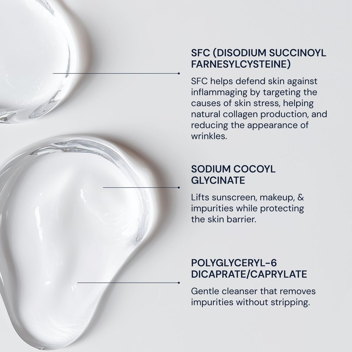Blueprint Bryan Johnson Gentle Facial Cleanser with SFC & Hyaluronic Acid – Age-Defying Gel Cleanser for Firm, Balanced & Hydrated Skin – Vegan & Fragrance-Free (4.06 Fl Oz) Avelisse