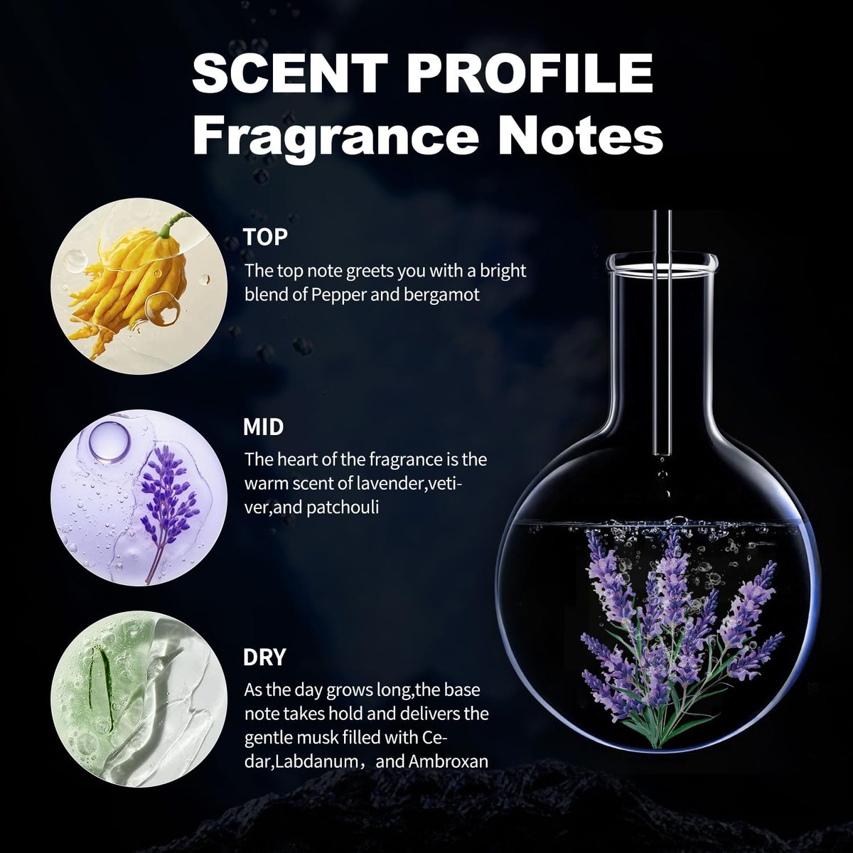 Men's Hypnotic Eau de Toilette – Fresh, Warm & Long-Lasting Fragrance Spray, 1.7 Fl Oz (50 ml), Holiday Gift Avelisse